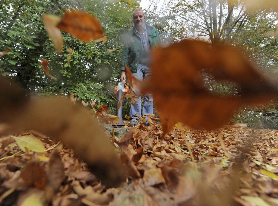 Class, race and leaf blowers - Virginia Mercury