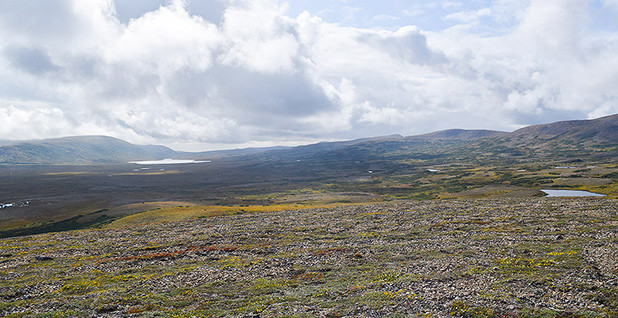 Block Caving at the Proposed Pebble Mine