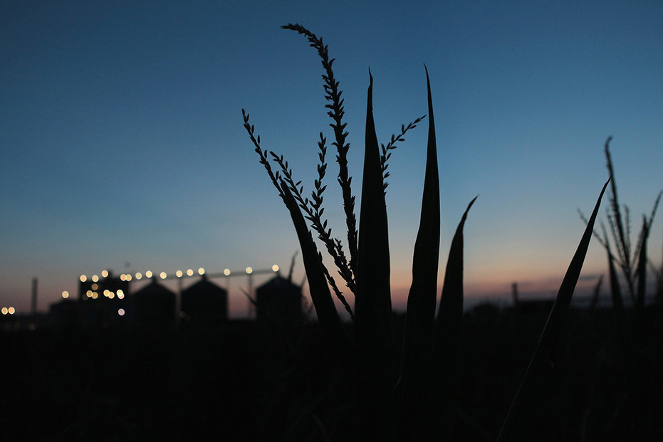 Ethanol plant. Ethanol plant.