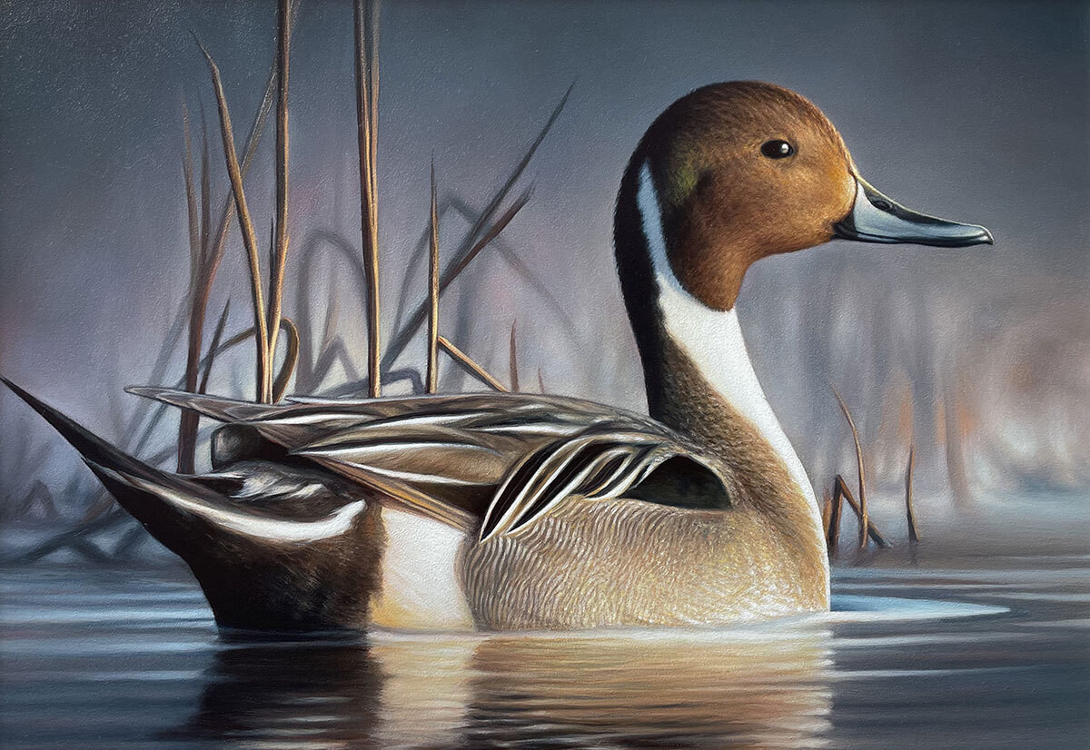 POLITICO Pro Article Montana artist wins FWS duck stamp contest