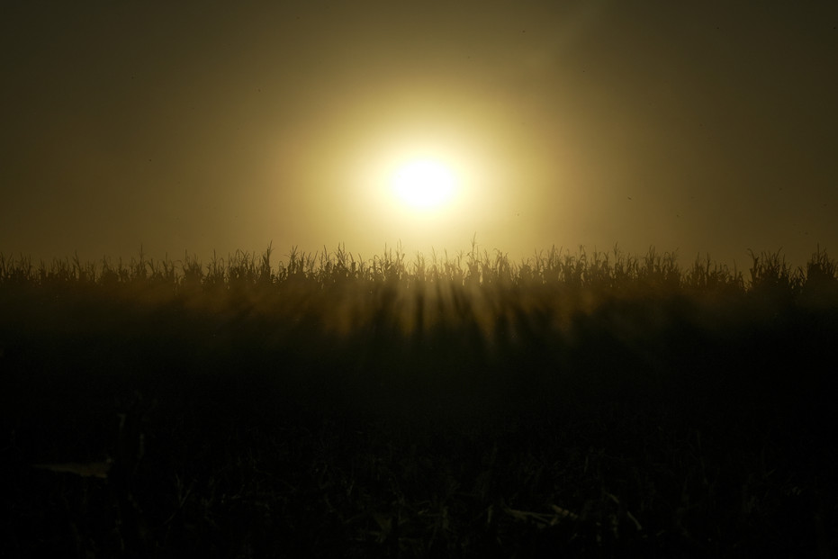 Sunlight filters through a cloud of dust last month on a farm near Allerton, Ill.