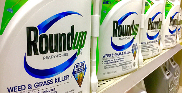 Popular weed killer's alleged link to cancer stirs widespread concern